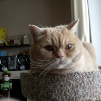 Наталья Савушкина