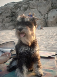 Елена <--Dzhuna--> Иванова